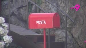 Vreme je za raskrinkavanje! Počinju Nominacije Odabranih