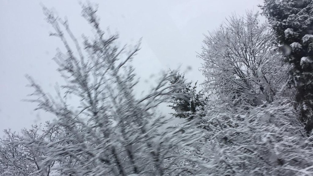 ZABELELO SE I UŽICE! Na Tari i Zlatiboru ni pahulje, ali taj deo pogodila je ova opasna pojava