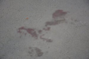 Mesto ubistva kod Cvetkove pijace