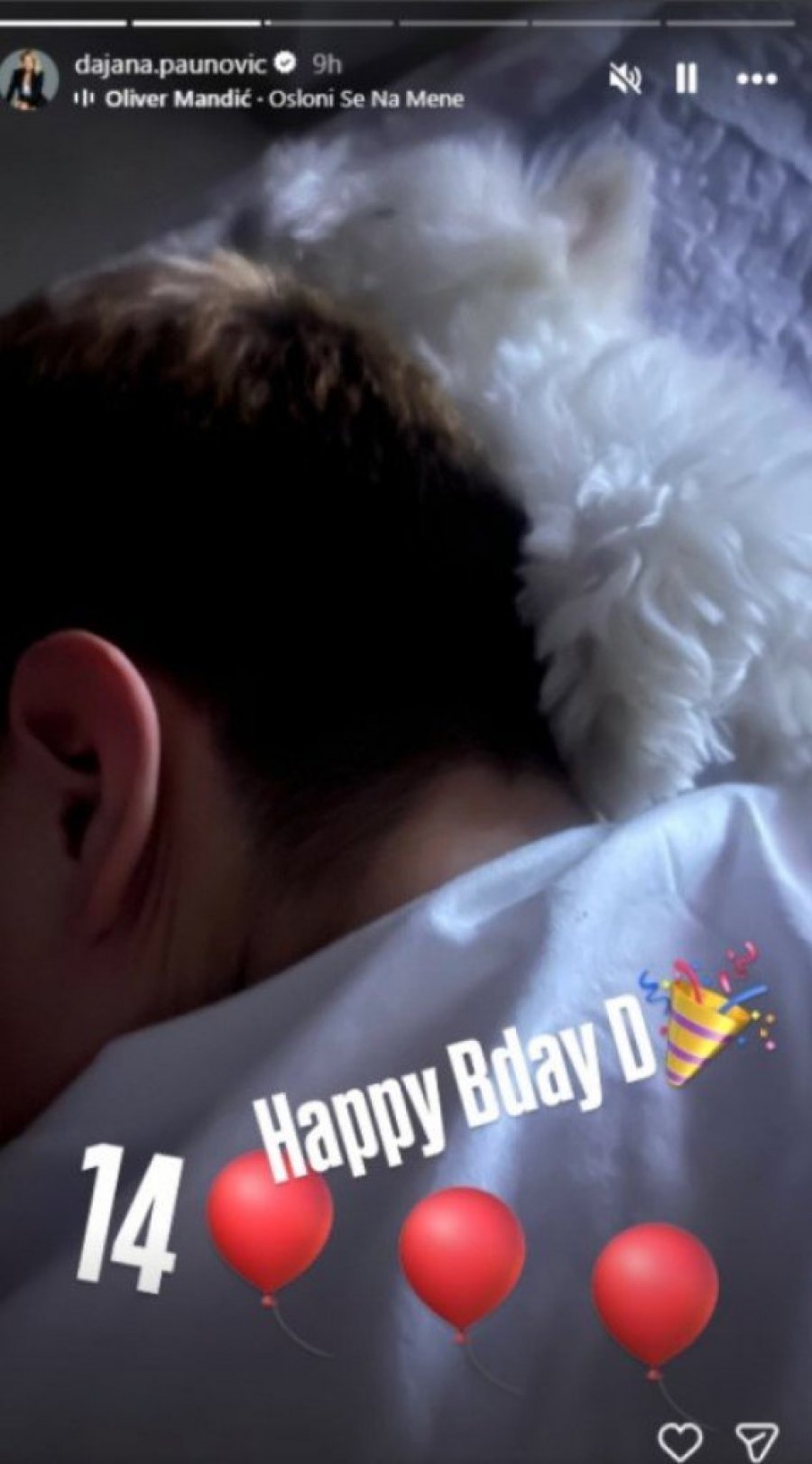 ŽIKA JAKŠIĆ I DAJANA PAUNOVIĆ IMAJU NAJLEPŠI POVOD ZA SLAVLJE! Porodica ponovo na okupu, FOTOGRAFIJOM ZAPALILI MREŽE! (FOTO)