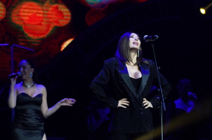 CECA ODMAH PREKINULA KONCERT ZBOG DEVOJKE U PUBLICI! Pevačica urla na obezbeđenje, nastao HAOS!