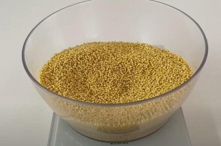 Čisti creva bolje od jogurta i čia semenki, a skoro svi je izbegavaju: Ova namirnica je pravo blago