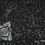 HOROR: Navijač crno-belih ubijen nožem nasred ulice!