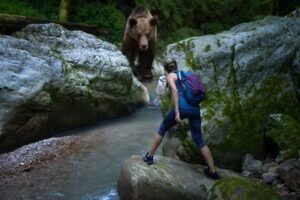 HOROR U ŠUMI! Medved zverski napao muškarca (58): Iskasapio mu noge i polomio ruku! SPASIOCI ZATEKLI JEZIV PRIZOR!