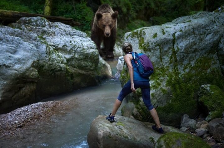 HOROR U ŠUMI! Medved zverski napao muškarca (58): Iskasapio mu noge i polomio ruku! SPASIOCI ZATEKLI JEZIV PRIZOR!