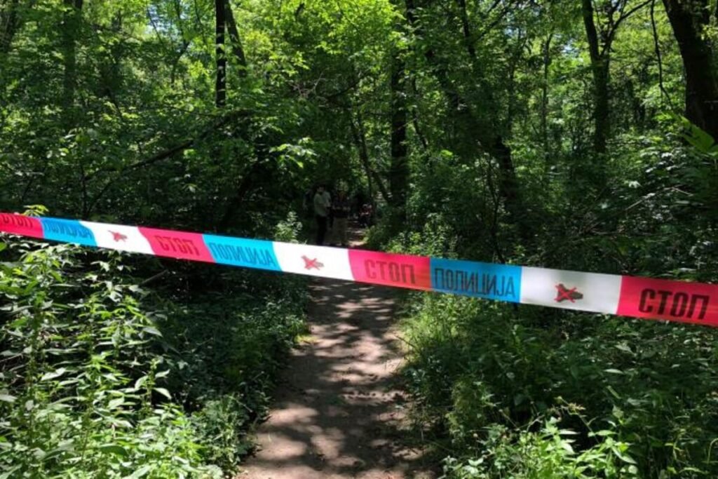 Horor usred šume u Železniku: Prolaznici se sledili od prizora