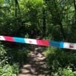 Horor usred šume u Železniku: Prolaznici se sledili od prizora