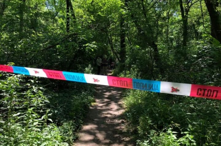 Horor usred šume u Železniku: Prolaznici se sledili od prizora