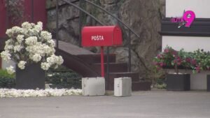 KREĆE ZEMLJOTRES U ELITI! Počinje Borina podela budžeta, svi odmah na Pink!