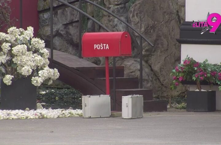 KREĆE ZEMLJOTRES U ELITI! Počinje Borina podela budžeta, svi odmah na Pink!