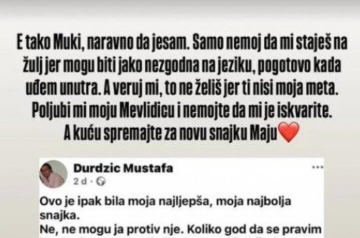 "MAKICU DA RASTAVIMO NA PROSTE ČINIOCE" Isplivale prepiske Filipa Cara i Stanije, ZA MAJU I "DRUŽBENICE" RIJALITI TEK POČINJE!