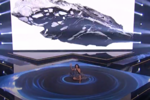 ŠOKANTNA GREŠKA NA FINALU PZE, PEVAČICA U SUZAMA NAPUSTILA SCENU! Nepristojni muškarac PREKINUO NASTUP Zejne pred milionskim auditorijumom!