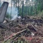 SRUŠIO SE AVION, IMA MRTVIH: Letelica pala odmah posle poletanja