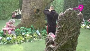 SVI NA PINK! Anđelo Ranković stigao u Rajski vrt