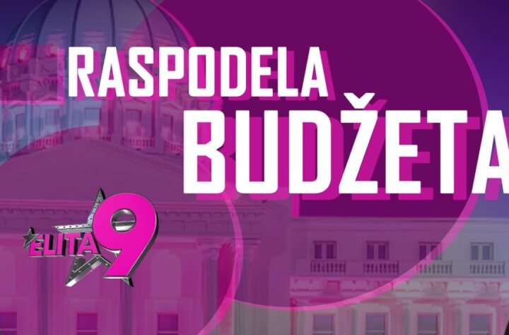 SVI NA PINK: Počinje Mićina podela budžeta, spremite se za haos