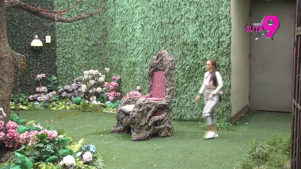 SVI NA PINK! Teodora u Rajskom vrtu