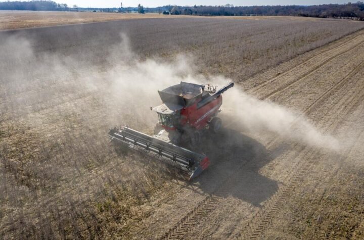 Stiže nova pomoć države! Danas počinju prijave za podsticaje od 18.000 dinara po hektaru, ovo su detalji