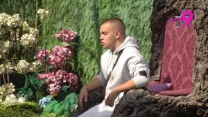 TRK NA PINK! Dača Virijević upravo je stigao kod Drveta mudrosti, spreman da otkrije sve tajne!