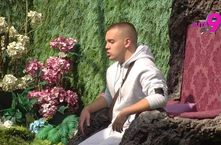 TRK NA PINK! Dača Virijević upravo je stigao kod Drveta mudrosti, spreman da otkrije sve tajne!