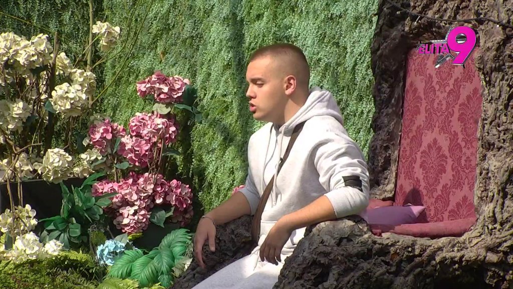 TRK NA PINK! Dača Virijević upravo je stigao kod Drveta mudrosti, spreman da otkrije sve tajne!