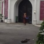 TRK NA PINK! Mama Džehva stigla u Elitu, vreme je da ih prodrma!