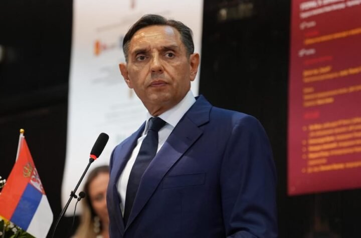 Vulin: Ne brine mene što ustaše izmišljaju logore već što srpska javnost, a ni država, nemaju ni toliko samopoštovanja da Cetinskom zabrani ulaz u Srb