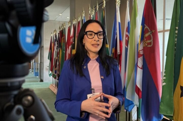 Žarić Kovačević u UN o podršci porodicama i demografskoj politici Srbije