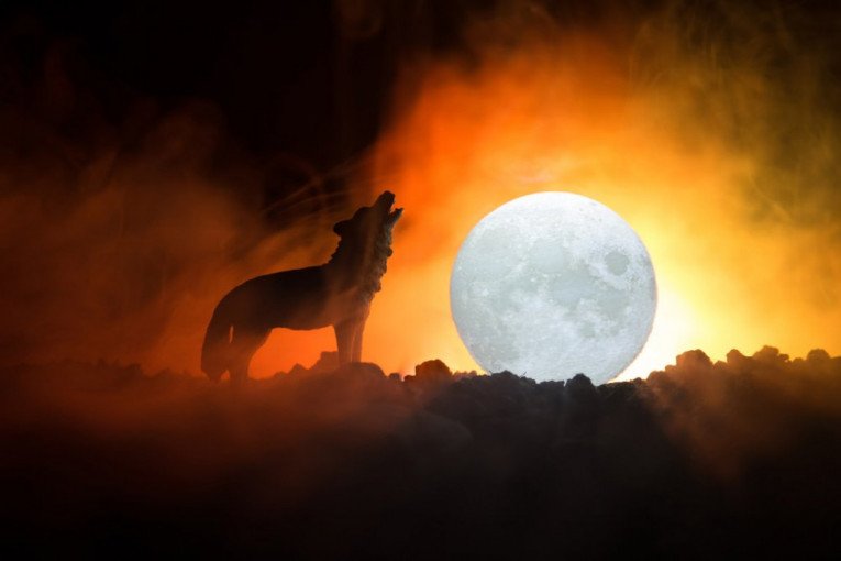 18 TELA PRONAĐENO U NACIONALNOM PARKU! Sumnja se na masovno trovanje, svi umrli u nekoliko dana!