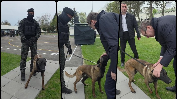 'I MILUTIN JE KOBRA!' Predsednik Vučić o još jednom pripadniku elitne jedinice: Neumoljiv, opasan i beskrajno odan, njemu eksploziv ne može da promakn