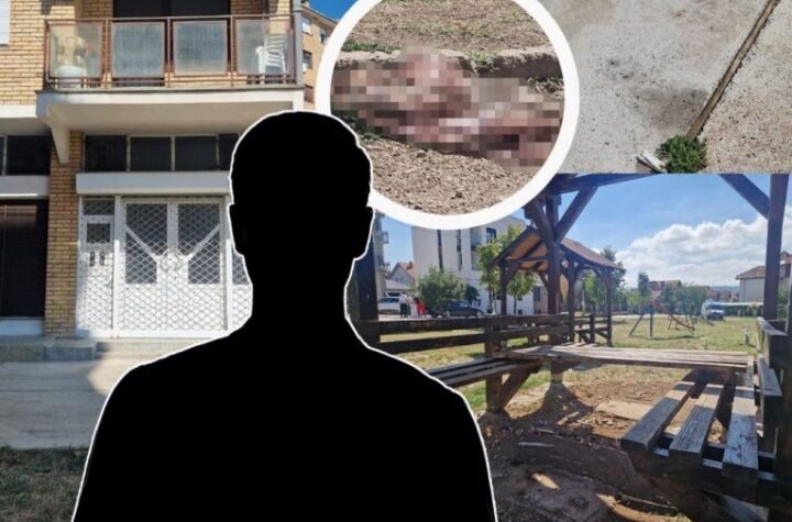 DARKO (28) UPUCAN NA DEČIJEM IGRALIŠTU! Počelo suđenje Martinu (34) za brutalno ubistvo u Nišu: Jedna stvar MISTERIJA, čeka se NJEN ISKAZ!