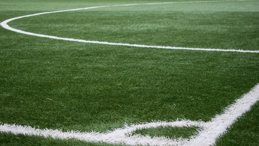 DETALJI DRAME U HRVATSKOJ: Ima povređenih u hosu na stadionu