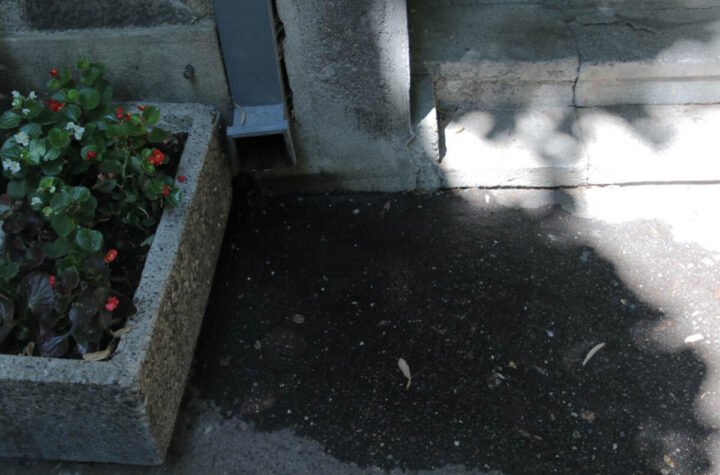 Doktorka se pred prolaznicima obesila o klimu! Nakon što je izgubila posao, umrla joj je majka, ali to nije sve