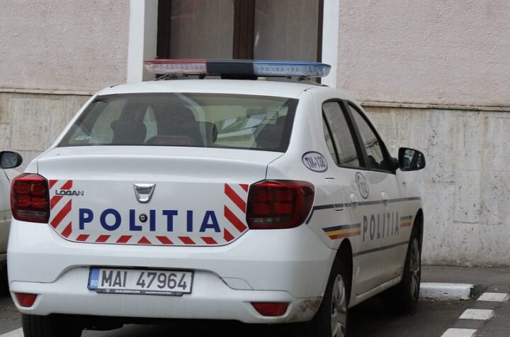 JURILA AUTOMOBILOM SKORO 200 NA SAT KROZ SELO: Policiji se pravdala hit izjavom - Zagoreće mi kolač!