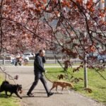 KONAČNO STIŽE PROLEĆE! Oglasio se RHMZ - temperature do 24 stepena!