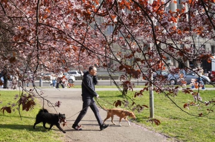 KONAČNO STIŽE PROLEĆE! Oglasio se RHMZ - temperature do 24 stepena!