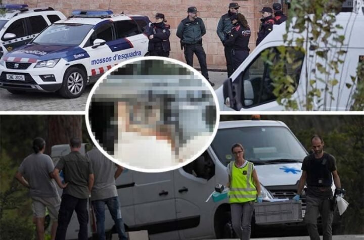 KRSTO VUJIĆ UPUCAN USRED KAFIĆA! Žena i dete sve gledali - "Terminator" sa 9 života i ovog puta preživeo stravičan napad!