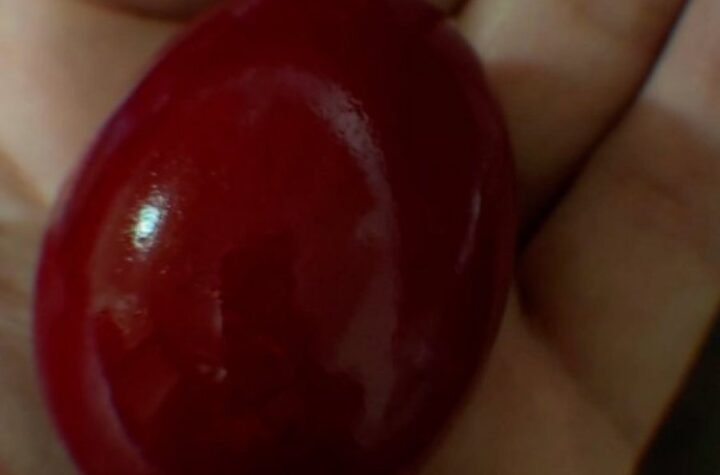 MILAN STANKOVIĆ PREKINUO TIŠINU NA VELIKI PETAK! Pevač objavom raspametio fanove, OVO SMO SVI ČEKALI! (FOTO)