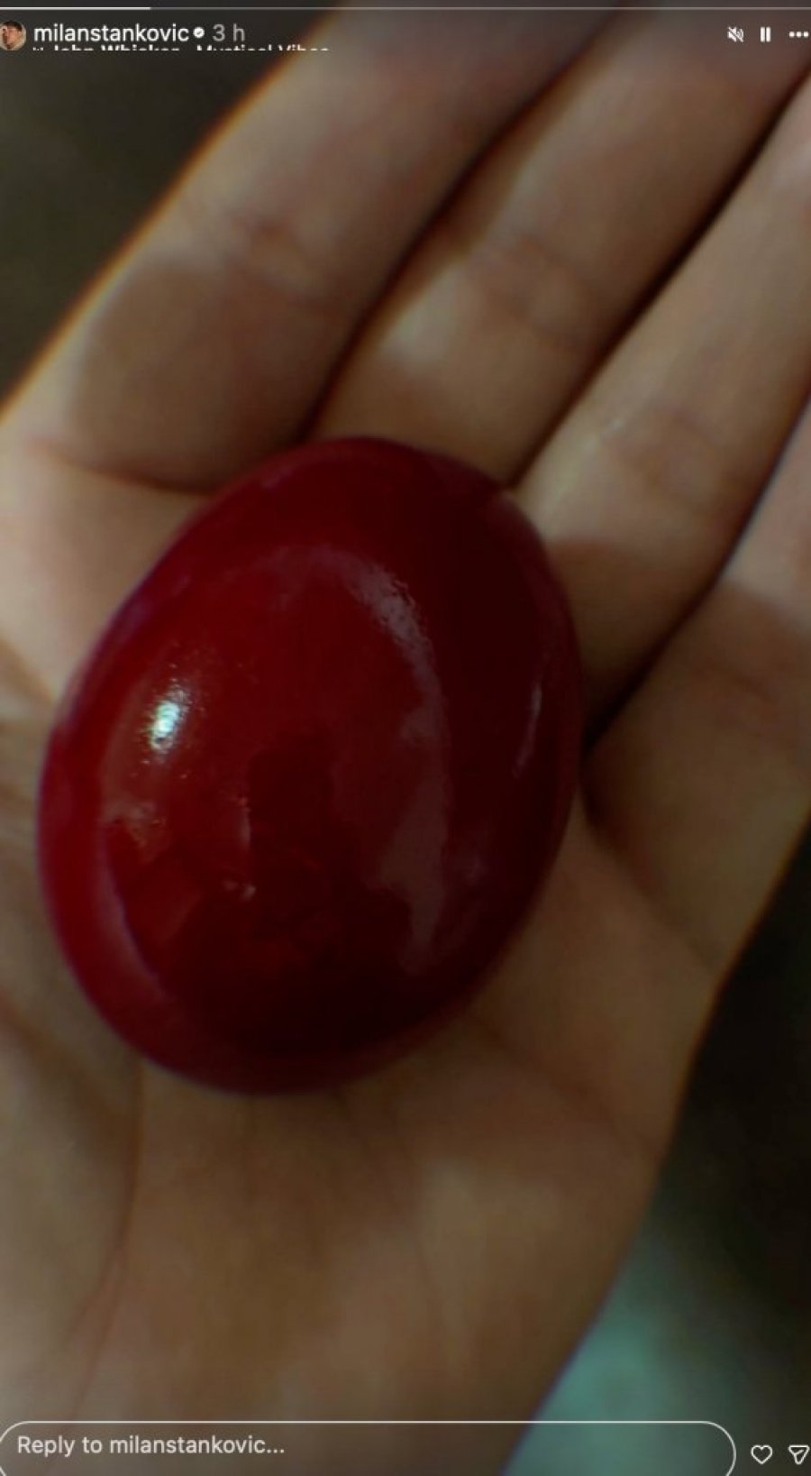 MILAN STANKOVIĆ PREKINUO TIŠINU NA VELIKI PETAK! Pevač objavom raspametio fanove, OVO SMO SVI ČEKALI! (FOTO)