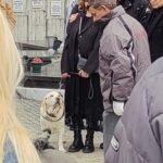 NAJTUŽNIJI TRENUTAK SA ISPRAĆAJA LEGENDE SRPSKE KOŠARKE: Duškova Žuta danas ni jednog trenutka nije napustila svog gazdu - Ovi snimci su obišli Srbiju