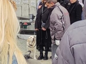 NAJTUŽNIJI TRENUTAK SA ISPRAĆAJA LEGENDE SRPSKE KOŠARKE: Duškova Žuta danas ni jednog trenutka nije napustila svog gazdu - Ovi snimci su obišli Srbiju