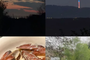 OVAKO SE OBELEŽAVA VELIKI PETAK U DOMU ZDRAVKA ČOLIĆA! Na trpezi ČISTA EGZOTIKA, ćerka Una ODUŠEVILA UMEĆEM! (FOTO)