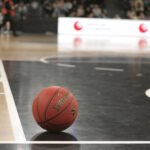 SRBIN U IDEALNOJ PETORCI EVROLIGE! Evo ko mu pravi društvo!