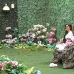 SVI NA PINK! Stanija u Rajskom vrtu!