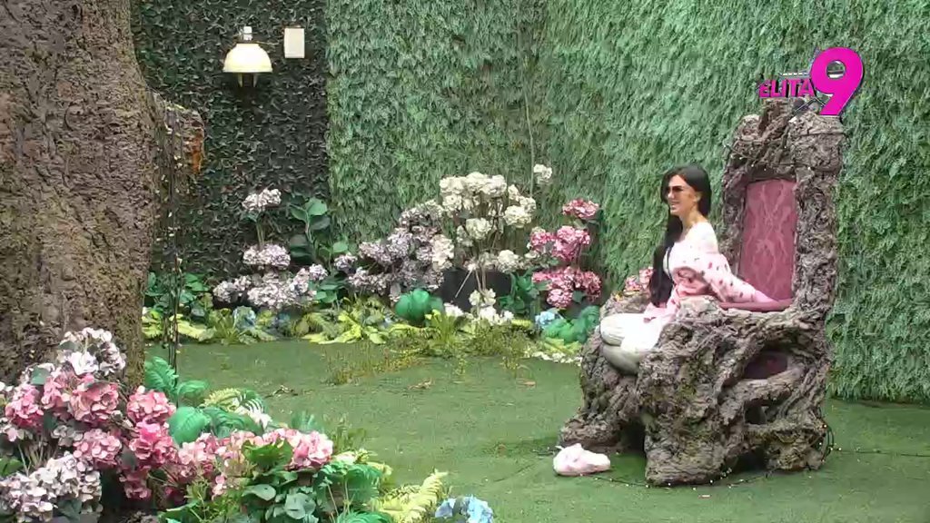 SVI NA PINK! Stanija u Rajskom vrtu!