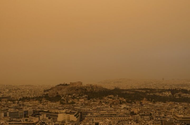 Sablasni prizori sa Krita: 'Gost' iz Afrike napravio scene kao u horor filmu!