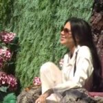 Stanija Dobrojević stigla kod Drveta mudrosti!