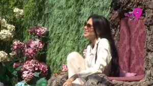 Stanija Dobrojević stigla kod Drveta mudrosti!