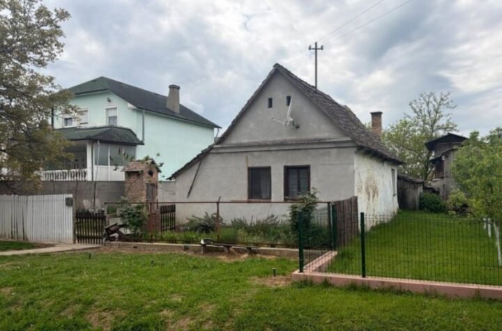 TELO MAMINOG DEČKA KRIO U SVOJOJ KUĆI, PA U AUTU, A NA KRAJU GA SPALIO! Stravični detalji zločina u Hrtkovcima!