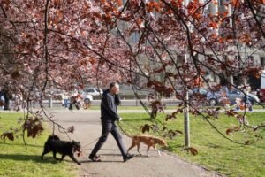 TEMPERATURE SKAČU NA 25 STEPENI, A ONDA OBRT! Stižu pljuskovi i grmljavina!