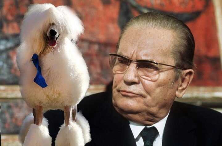 "TITOVA PUDLICA KRENULA DA ME UJEDE" Pred maršalom se odigrao pravi cirkus, a ona je mislila samo na OVO!